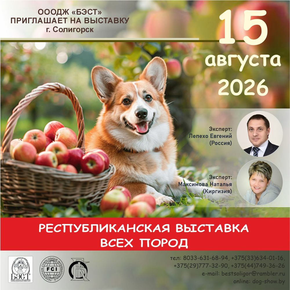 Pеспубликанская выставка всех пород