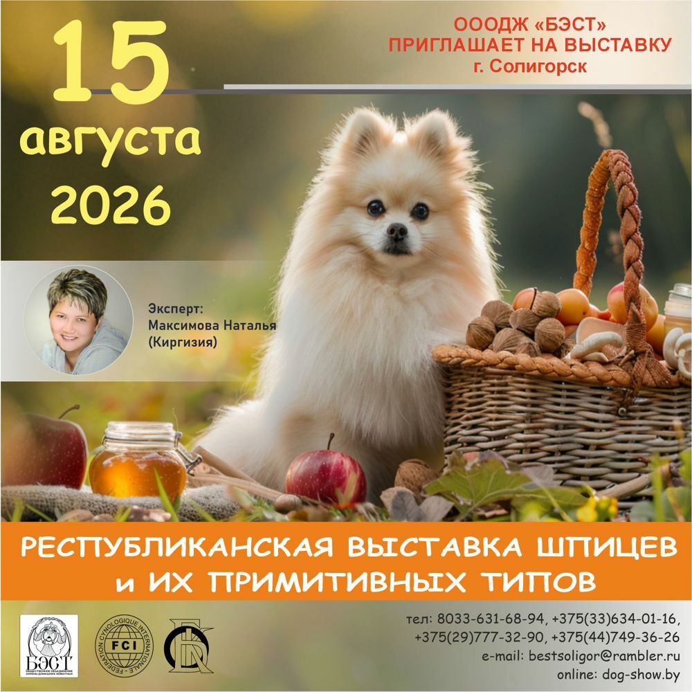 Республиканская выставка шпицев и их примитивных типов