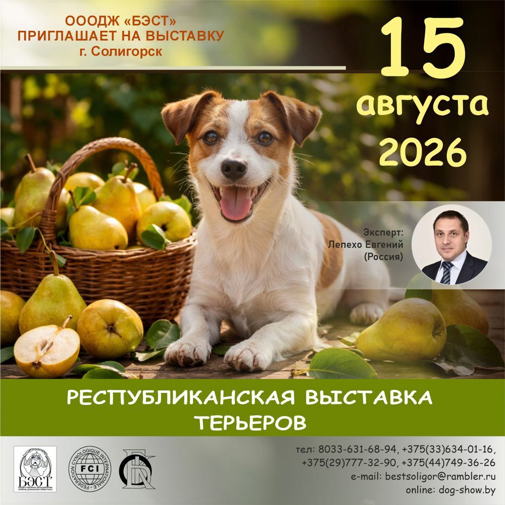 Республиканская выставка терьеров