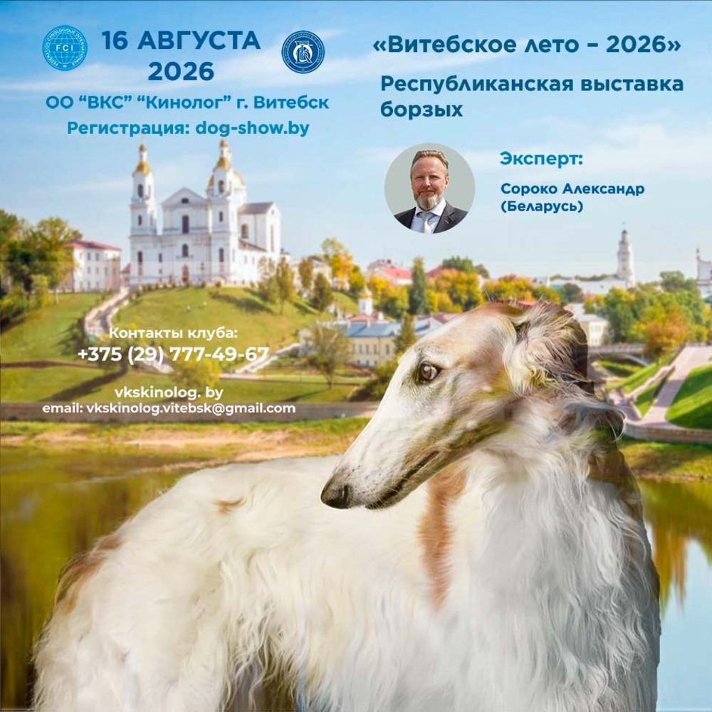 Республиканская выставка борзых