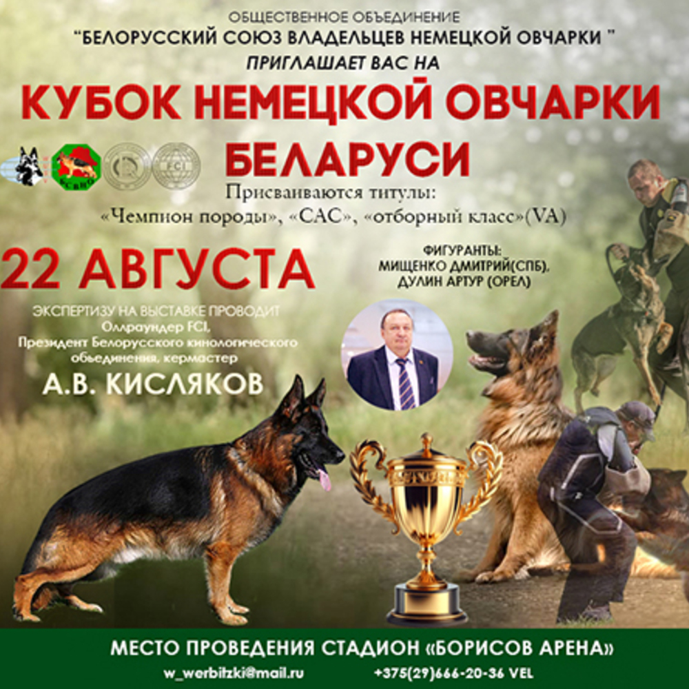 КУБОК по породе немецкая овчарка с присвоением  VA (ОТБОРНОЕ ОТЛИЧНО)