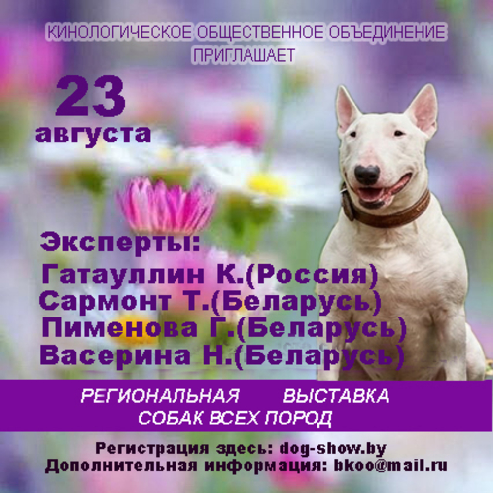 Региональная выставка собак всех пород