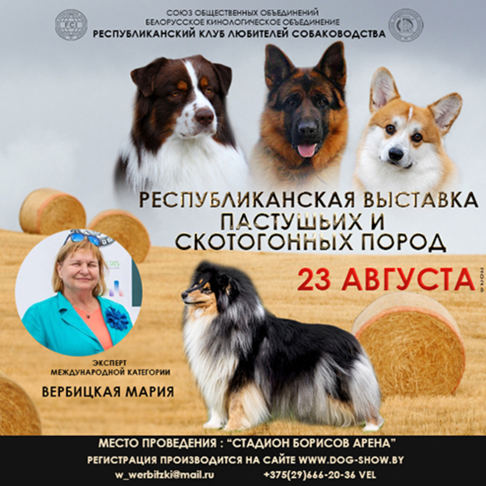 Республиканская выставка пастушьих и скотогонных пород