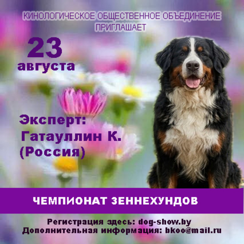 Чемпионат зенненхундов