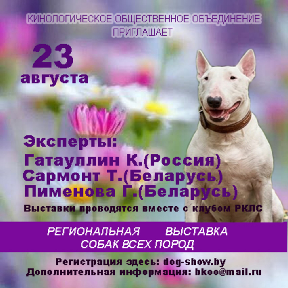 Региональная выставка собак всех пород