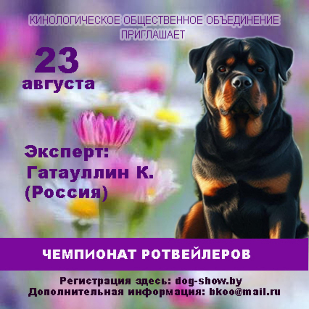 Чемпионат ротвейлеров
