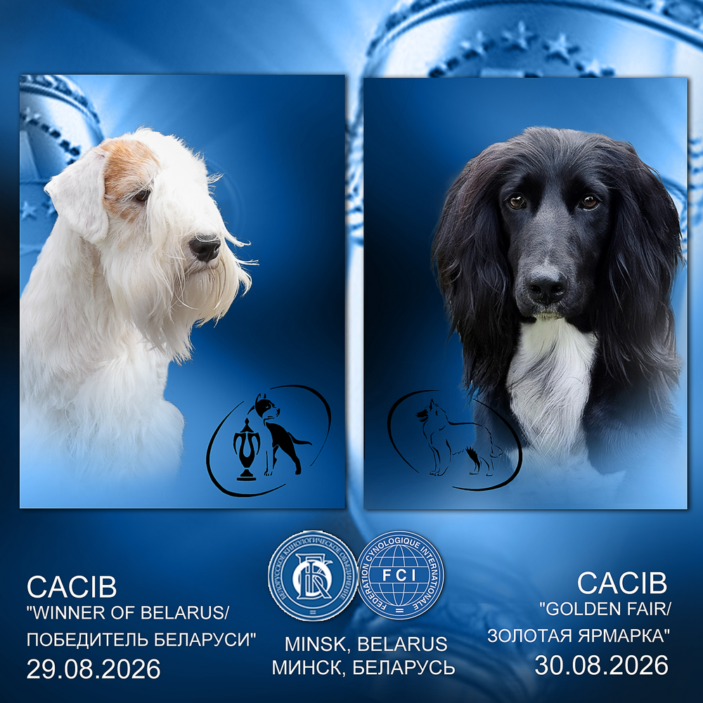 Международная выставка собак (CACIB)