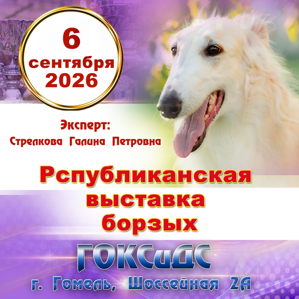 Республиканская выставка борзых