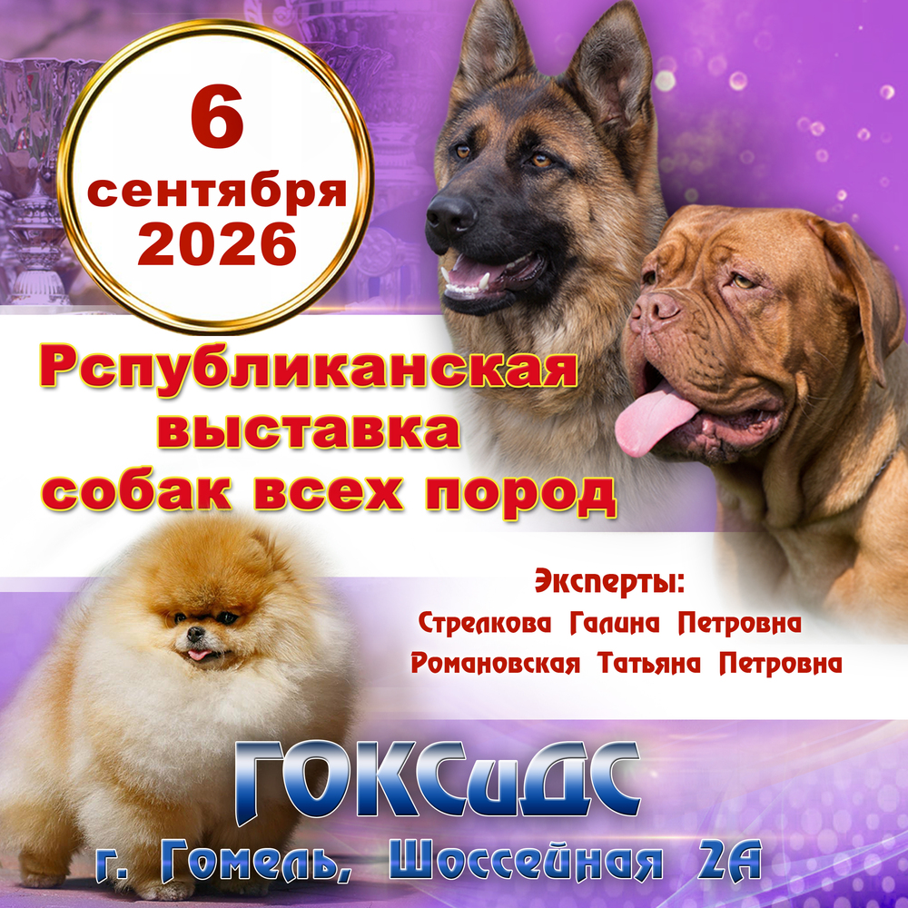Республиканская выставка собак всех пород