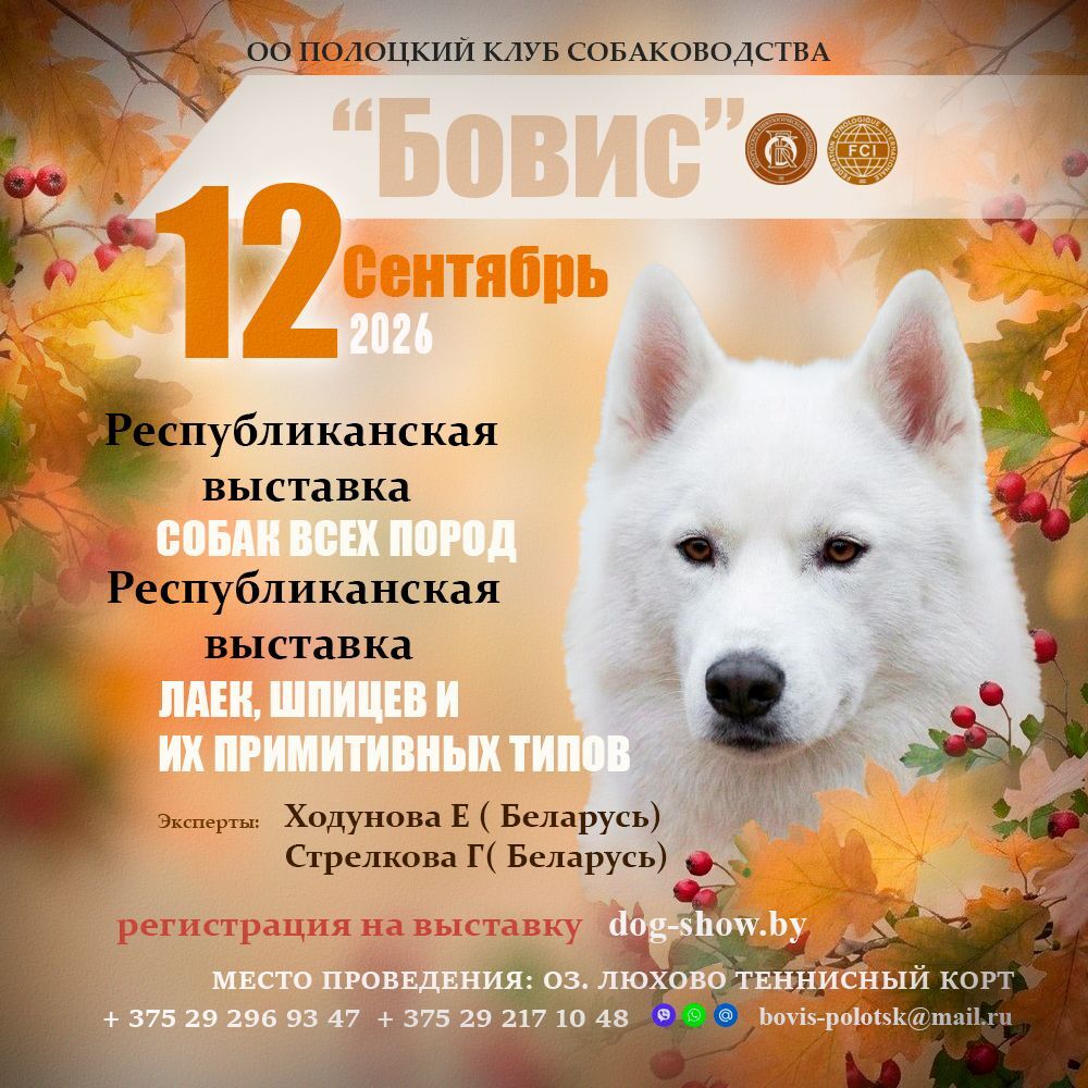 Республиканская выставка всех пород