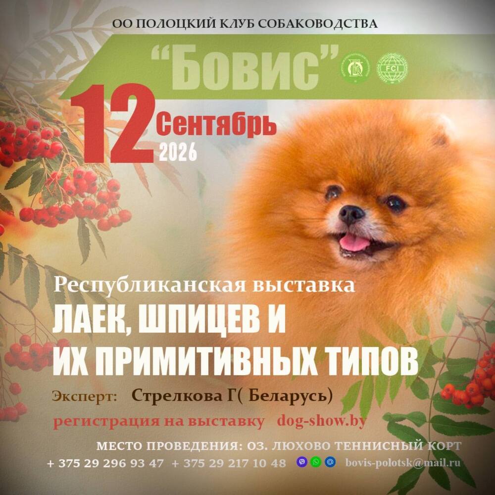 Республиканская выставка лаек, шпицев и их примитивных типов