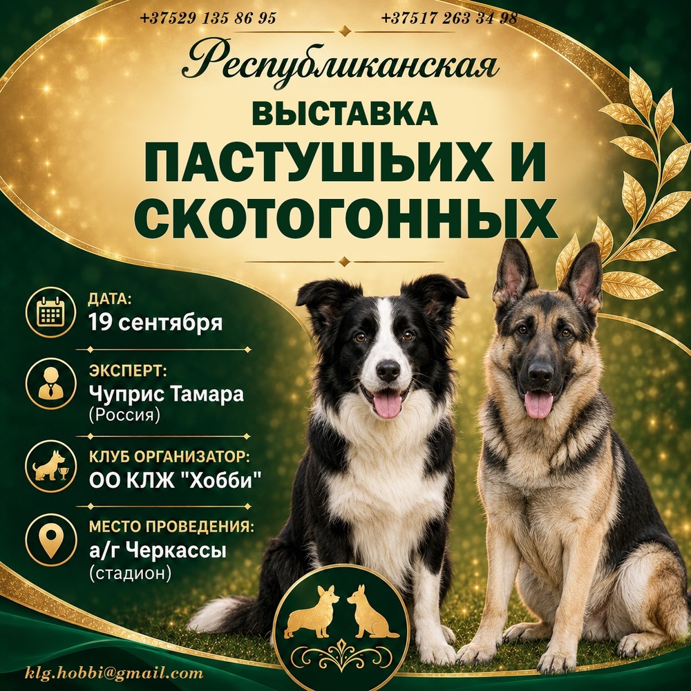 Республиканская выставка пастушьих и скотогонных