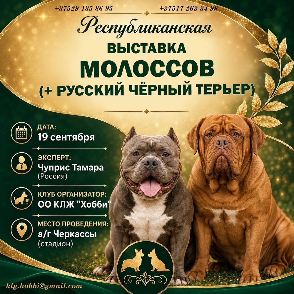 Республиканская выставка молоссов + РЧТ