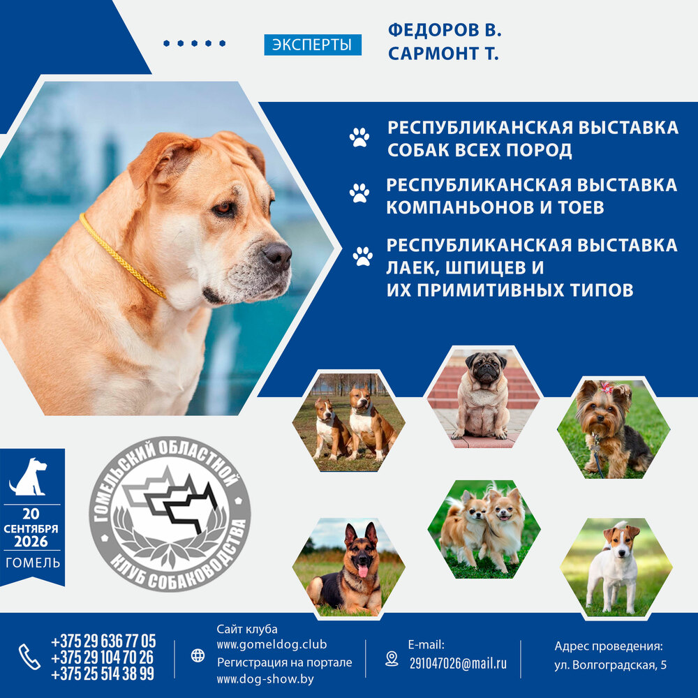 Республиканская выставка собак всех пород