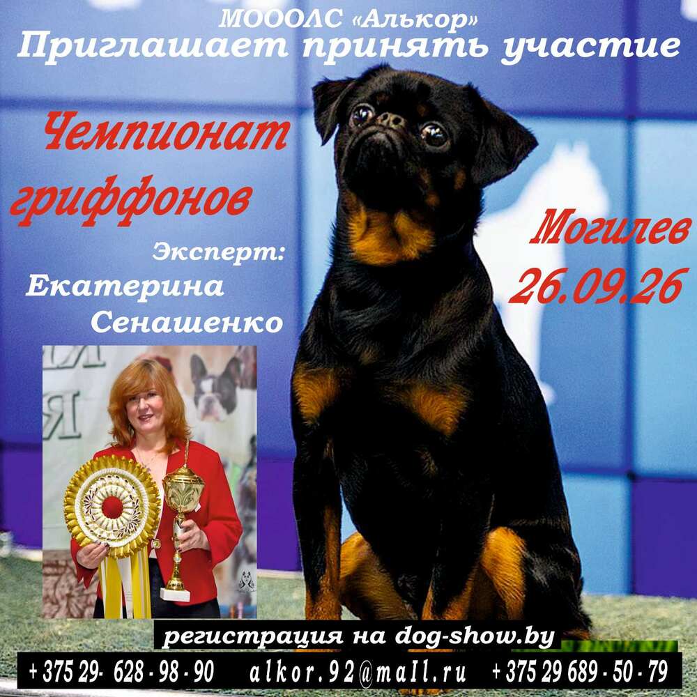 Чемпионат гриффонов