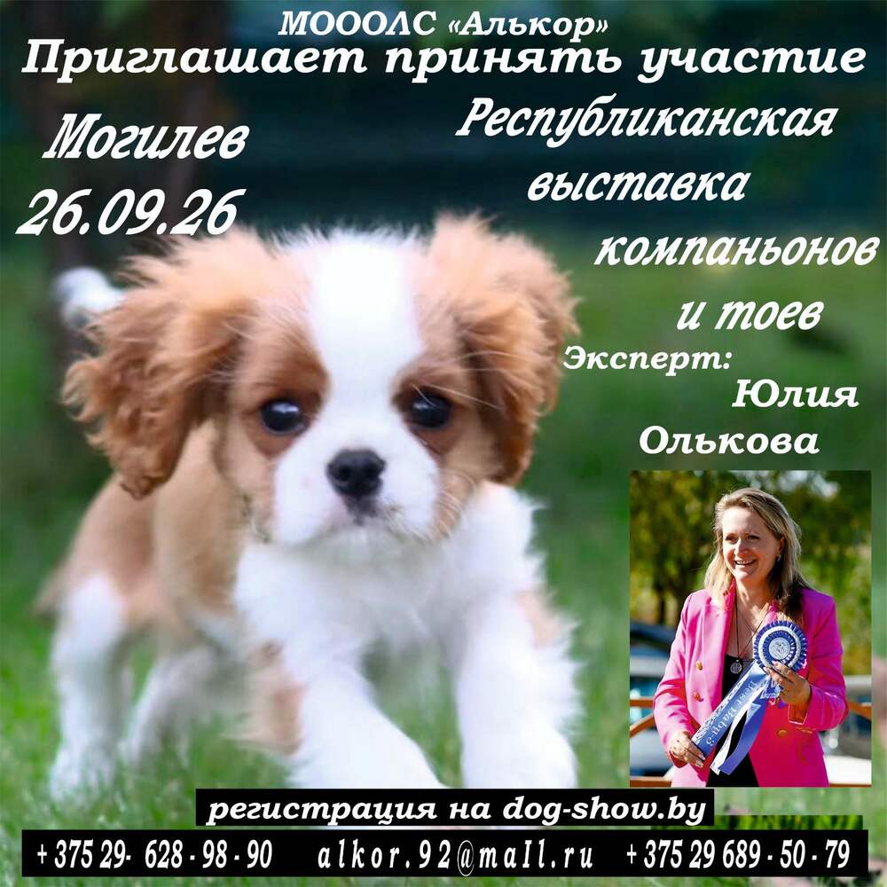 Республиканская выставка компаньонов и тоев