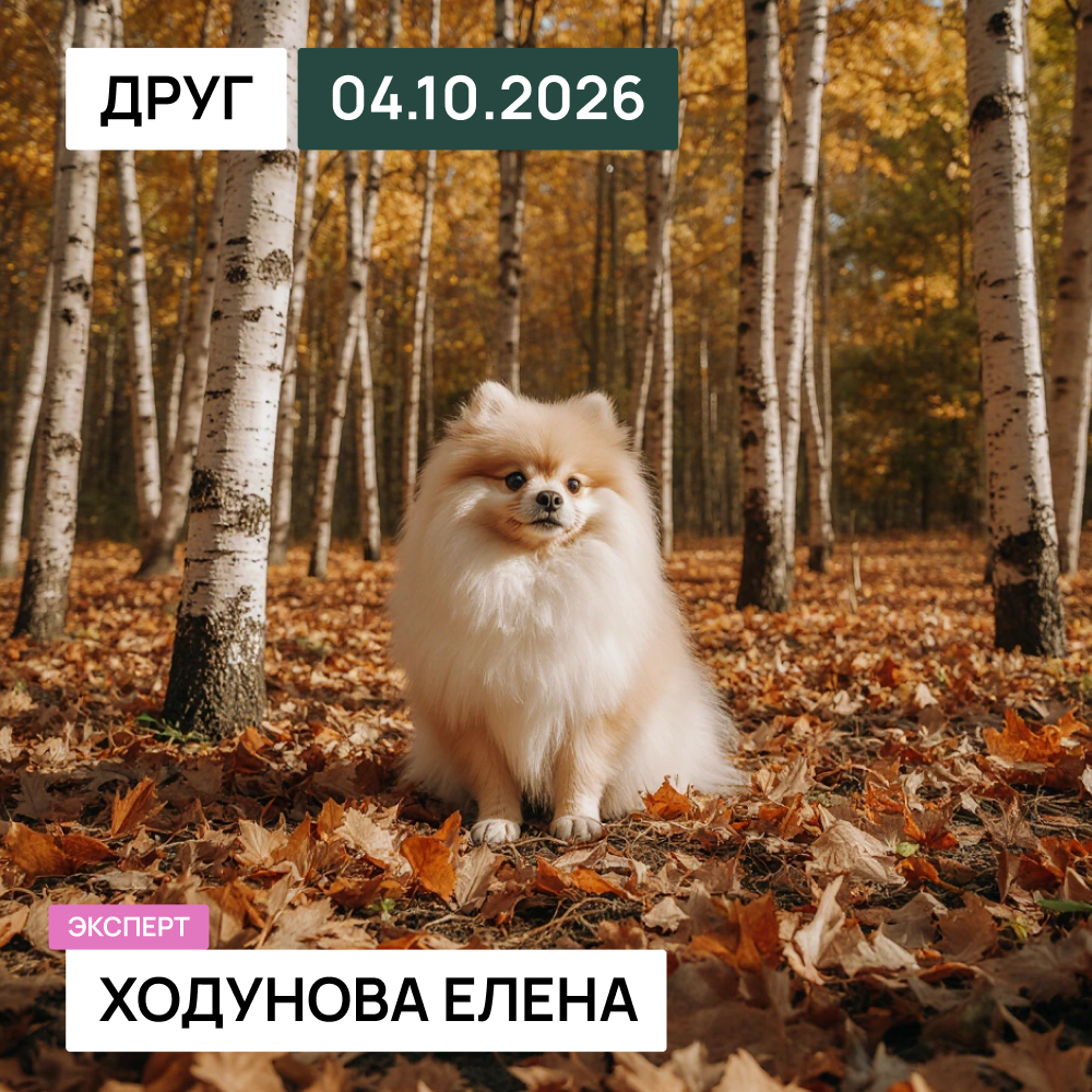 Республиканская выставка немецких шпицев
