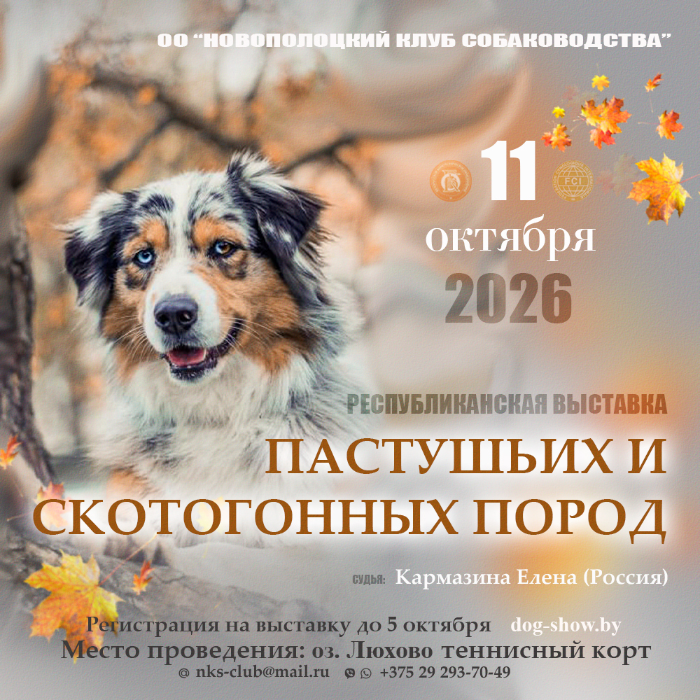 Республиканская выставка пастушьих и скотогонных