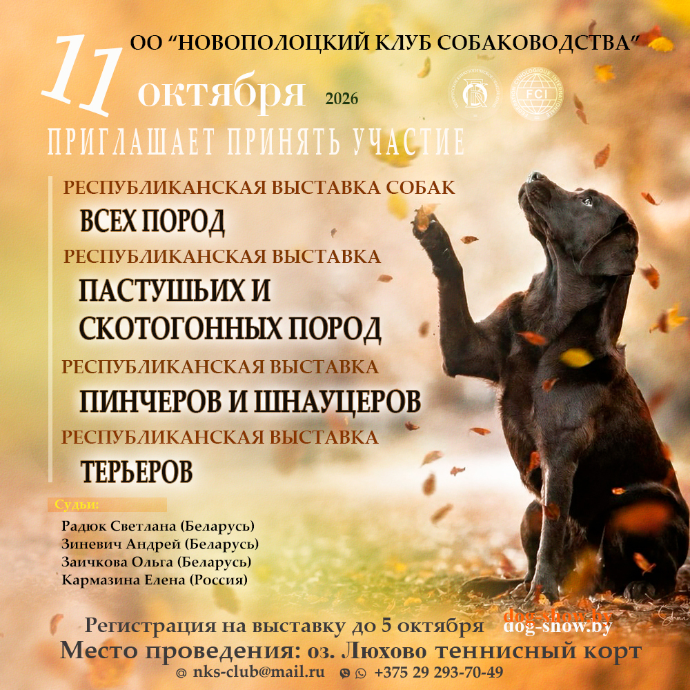 Республиканская выставка собак всех пород