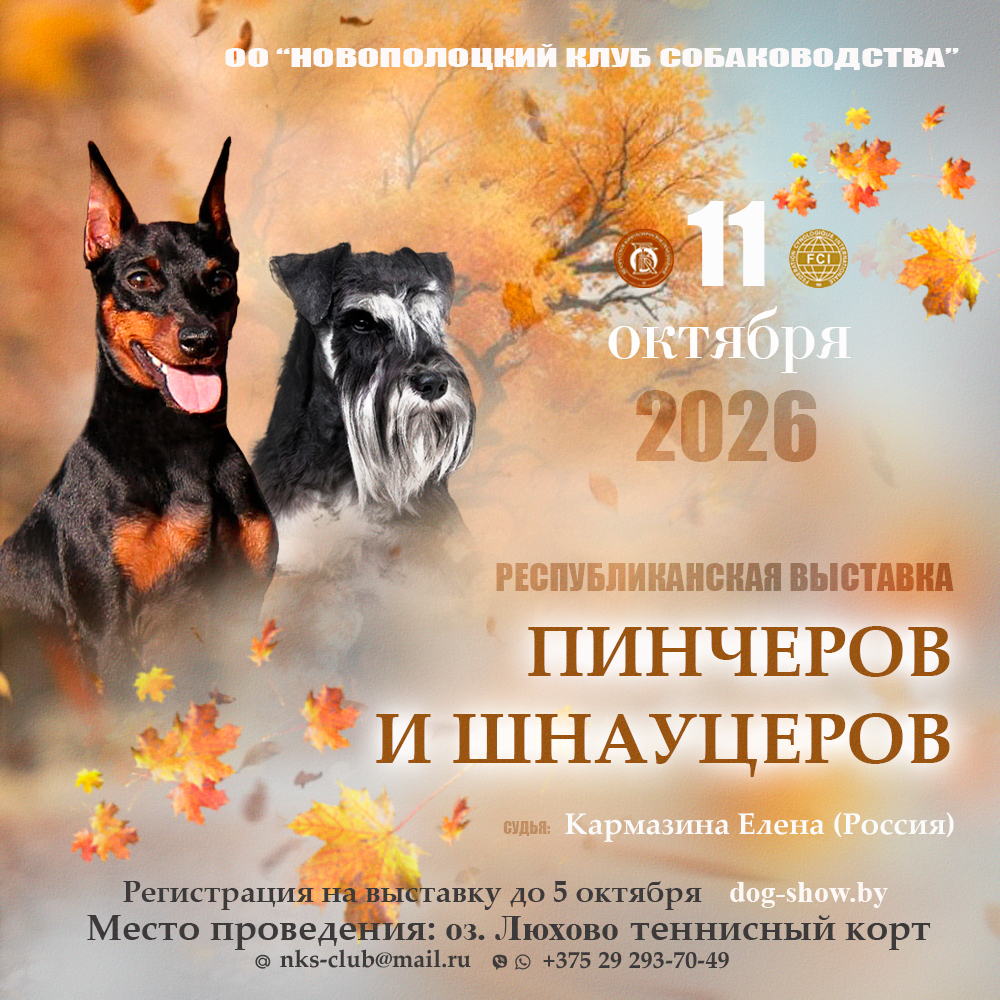Республиканская выставка пинчеров и шнауцеров