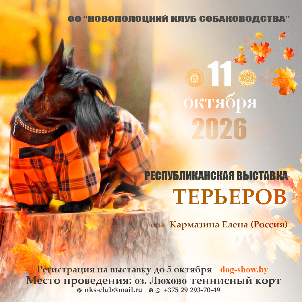 Республиканская выставка терьеров