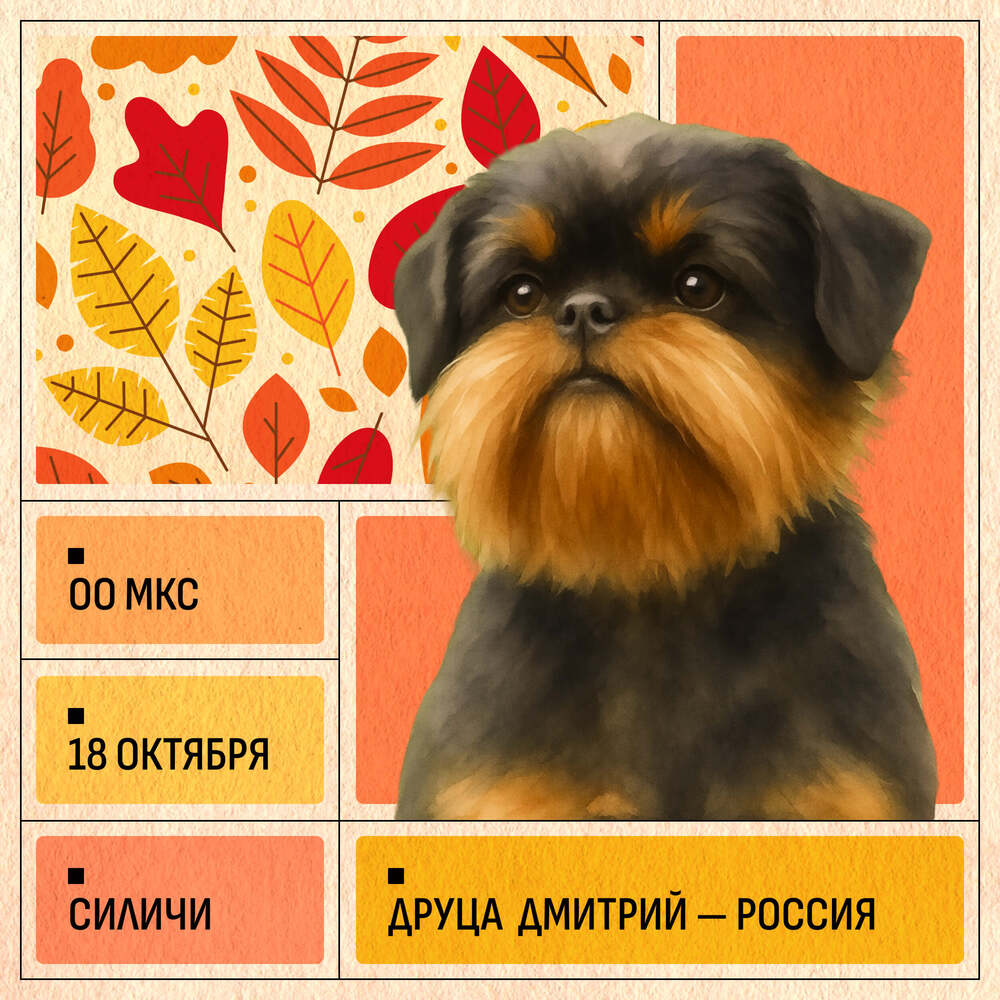 Республиканская выставка ГРИФФОНОВ