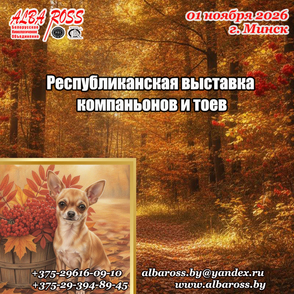 Республиканская выставка компаньонов и тоев