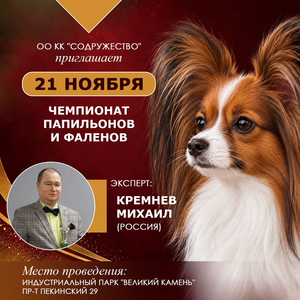 Чемпионат папильонов и фаленов