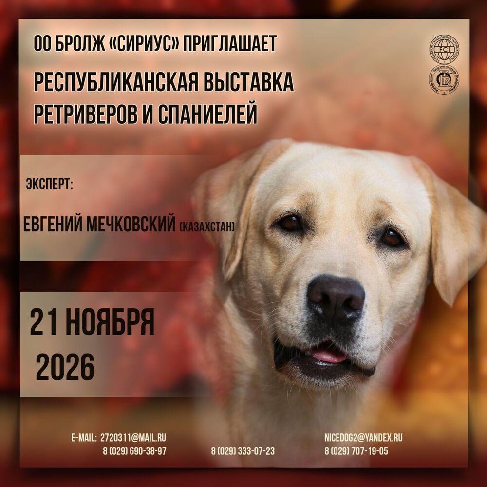 Республиканская выставка ретриверов и спаниелей