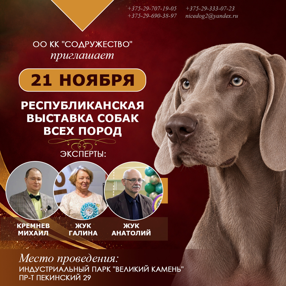 Республиканская выставка собак всех пород