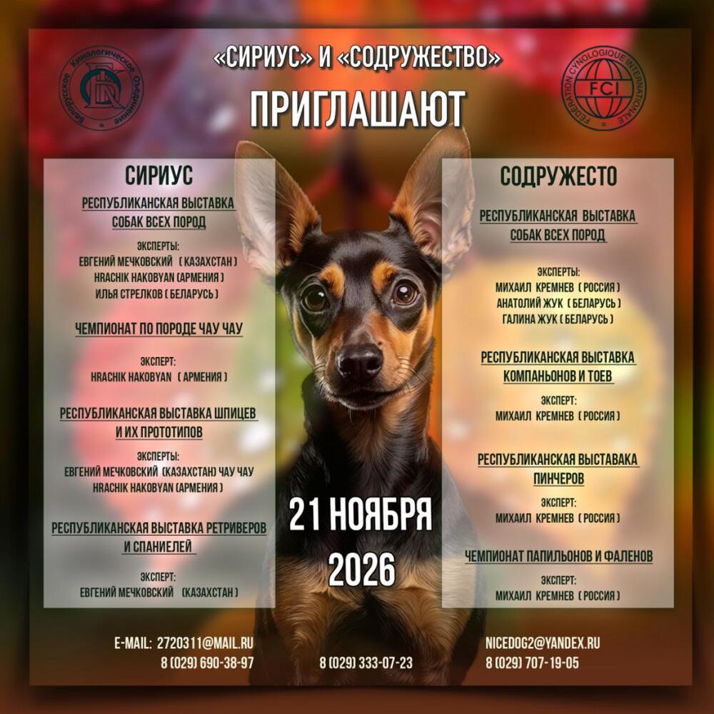 Республиканская выставка пинчеров