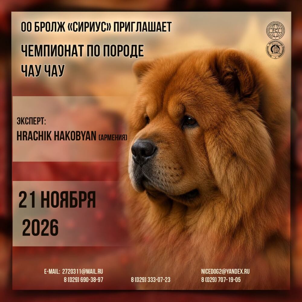 Чемпионат по породе чау-чау