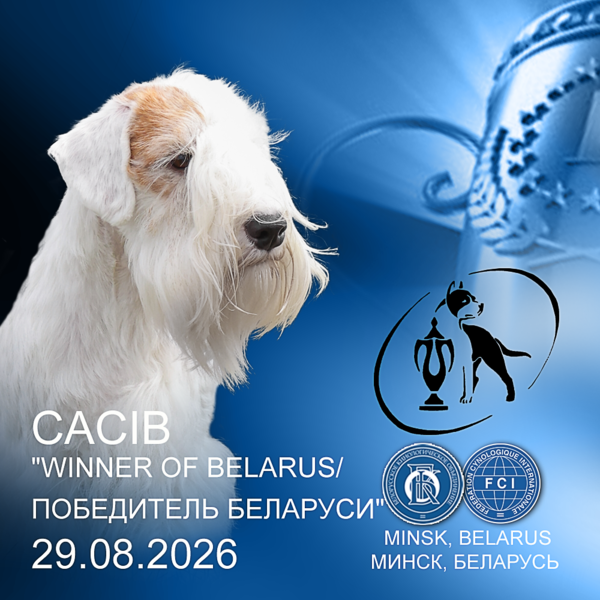 Международная выставка собак (CACIB)