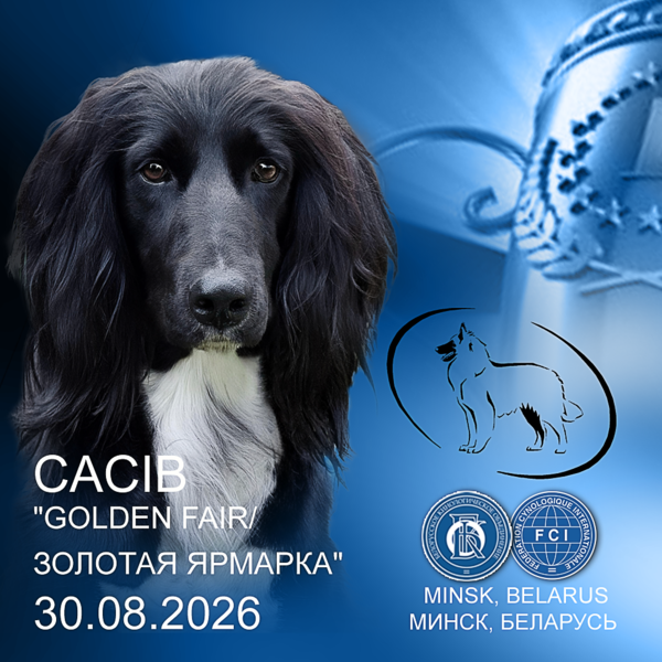 Международная выставка собак (CACIB)