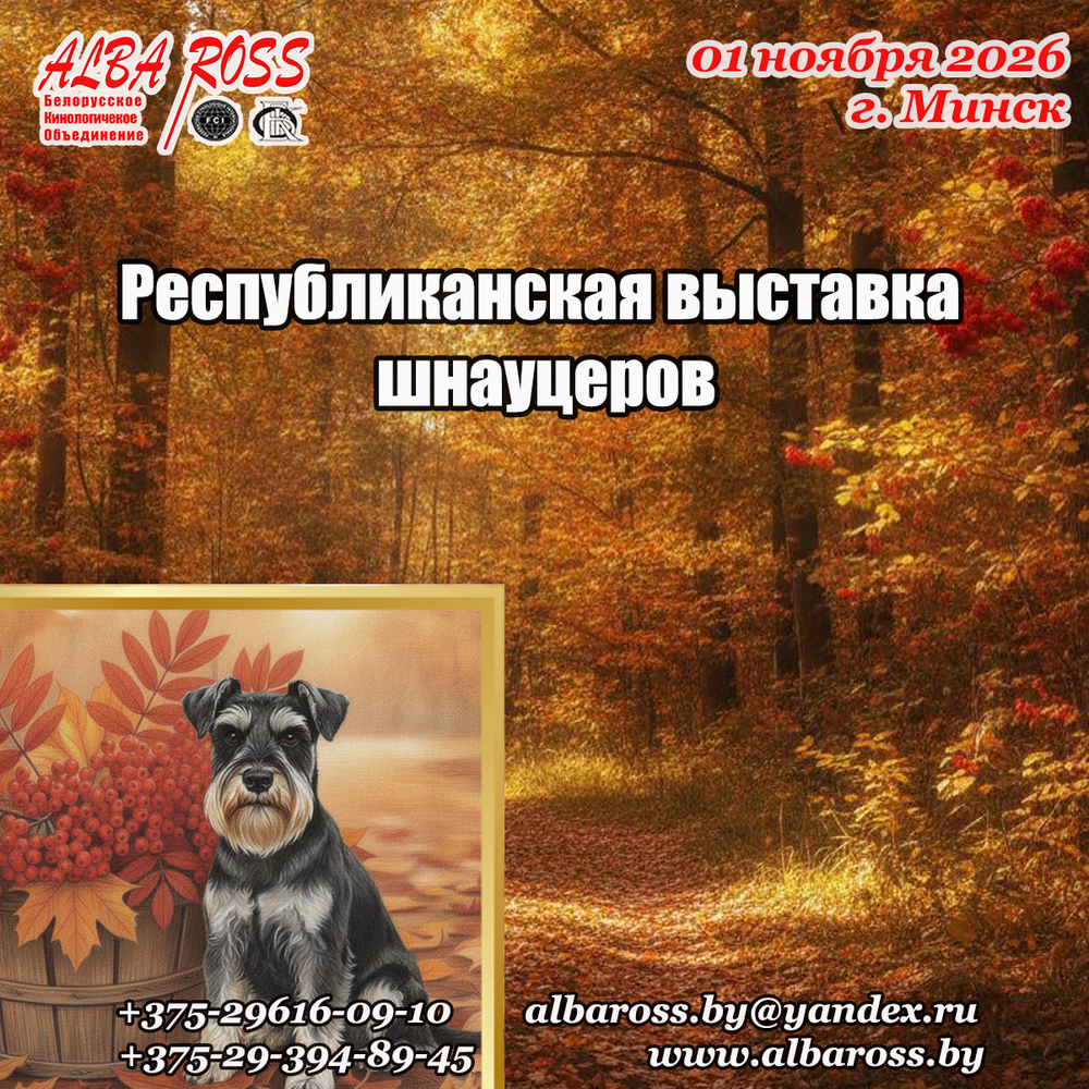 Республиканская выставка шнауцеров
