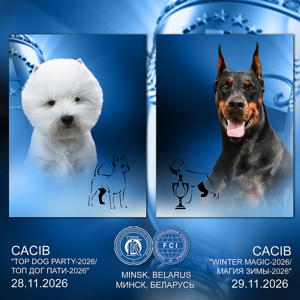 Международная выставка собак (CACIB)