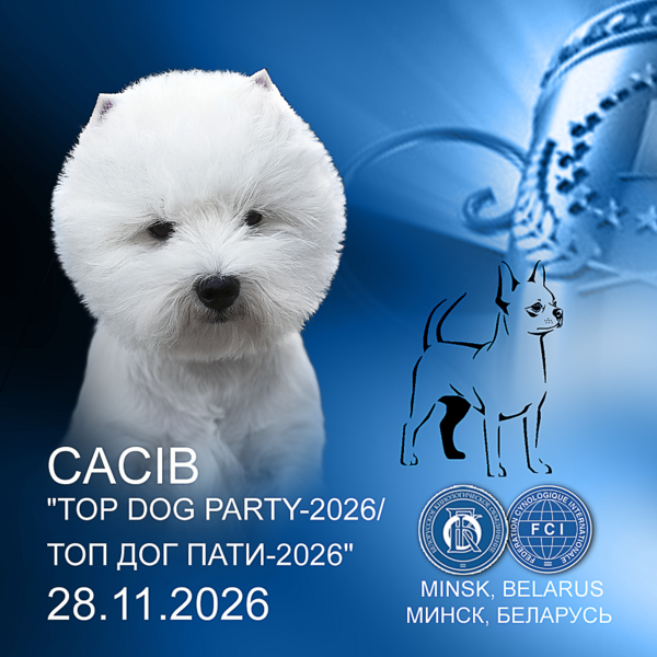 Международная выставка собак (CACIB)