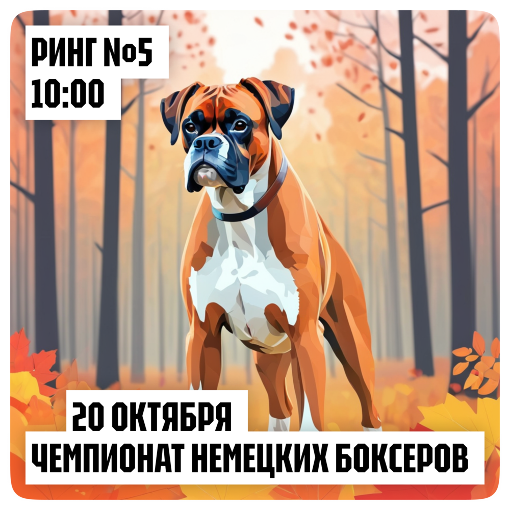 Чемпионат немецких боксеров