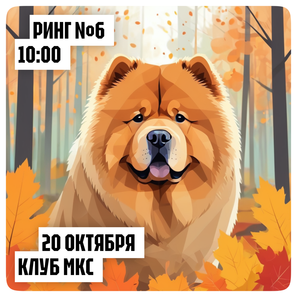 Республиканская выставка азиатских шпицев