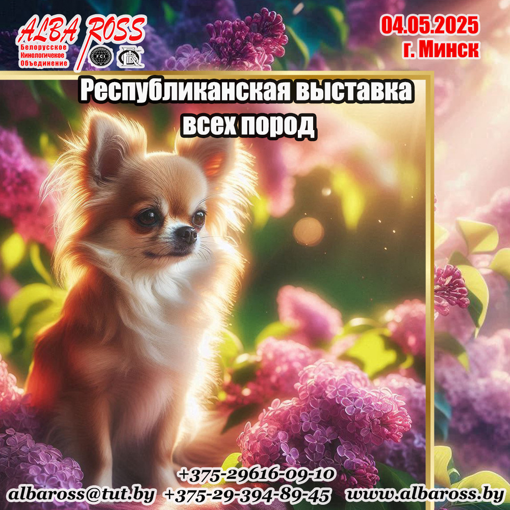 Республиканская выставка собак всех пород