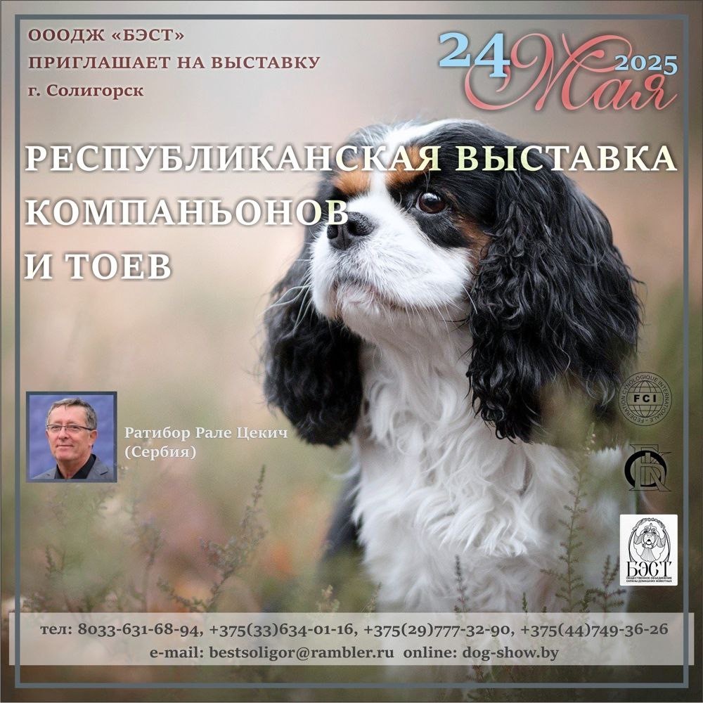 Республиканская выставка компаньонов и тоев