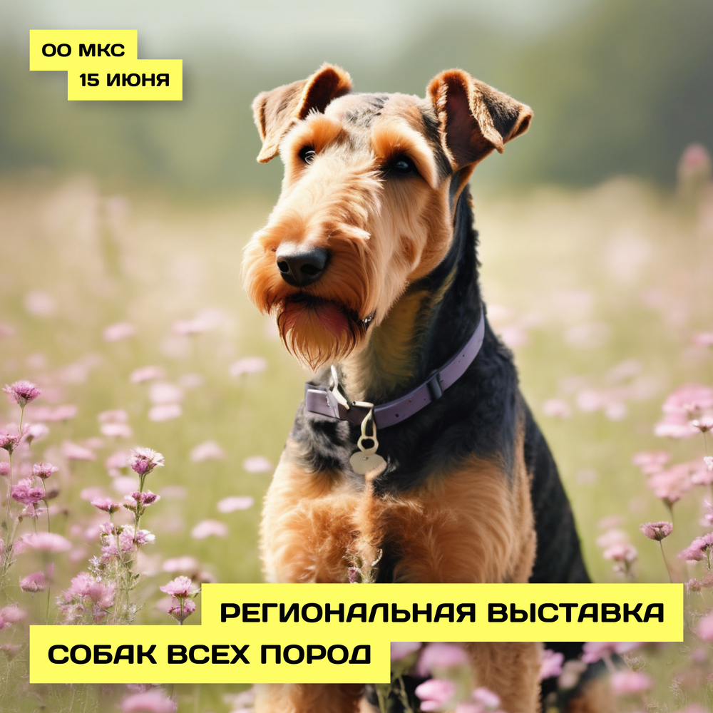 Региональная выставка собак всех пород