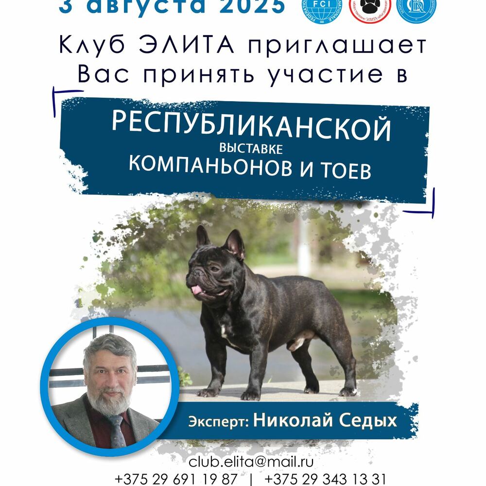 Республиканская выставка компаньонов и тоев