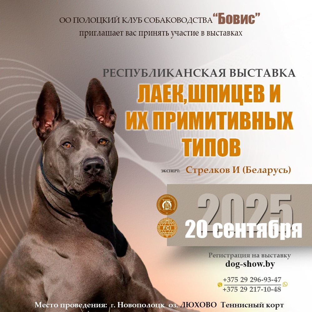 Республиканская выставка лаек, шпицев и их примитивных типов