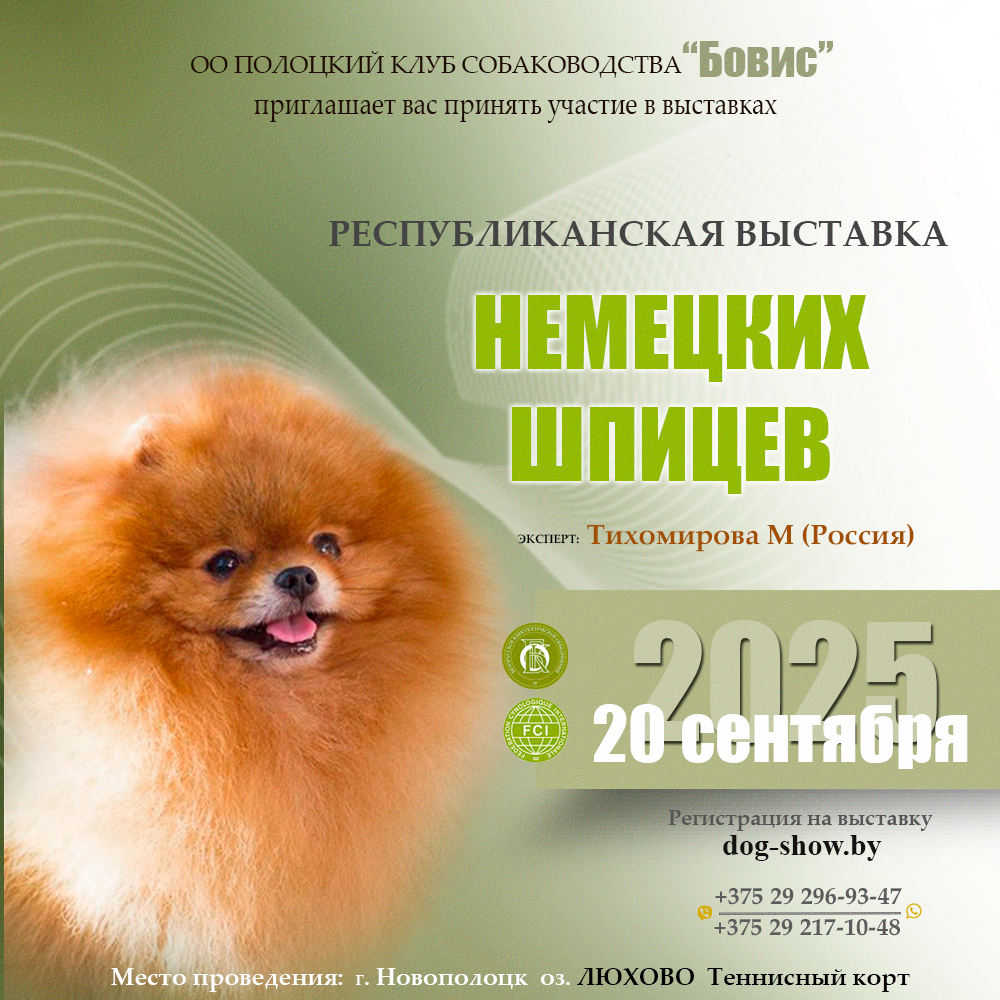 Республиканская выставка немецких шпицев