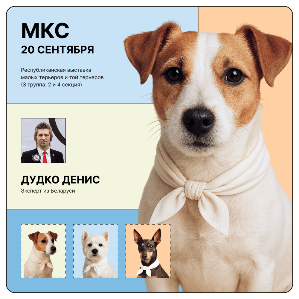 Республиканская выставка малых терьеров и той терьеров