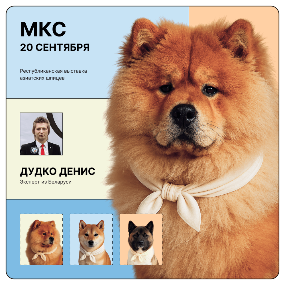 Республиканская выставка азиатских шпицев