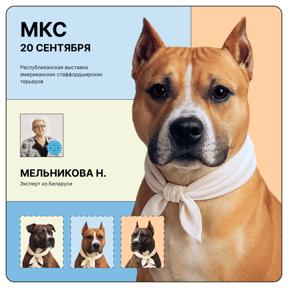 Республиканская выставка Американских стаффордширских терьеров