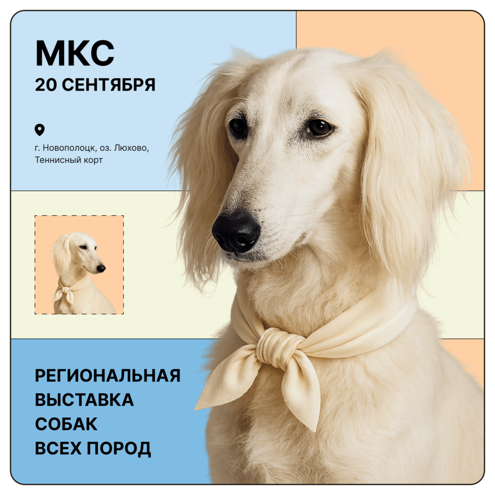 Региональная выставка собак всех пород