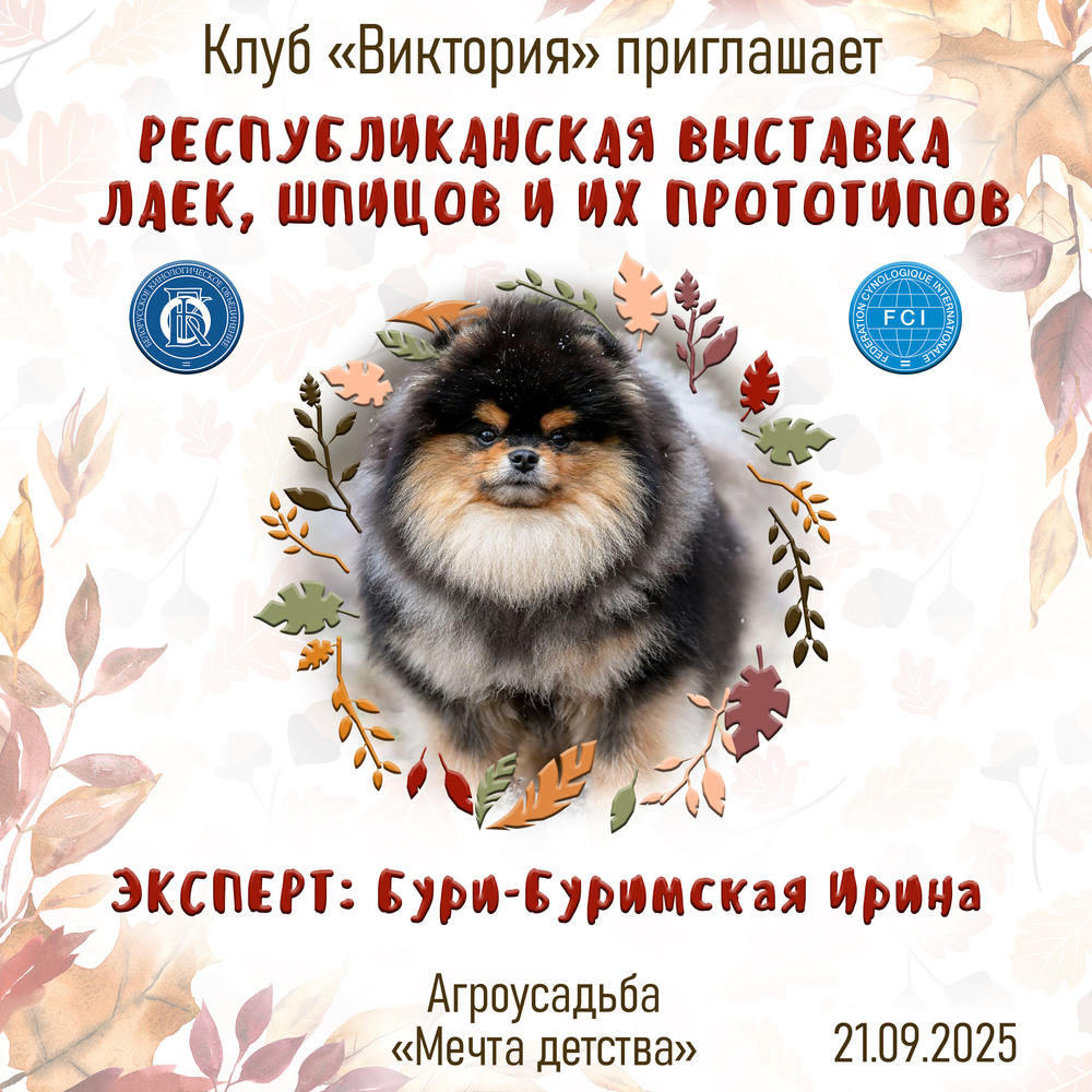 Республиканская выставка лаек, шпицев и их прототипов